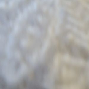 Meet your Posher, Ellen